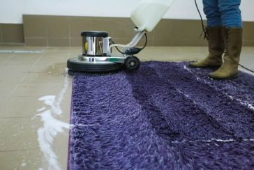 Rug cleaning Auckland