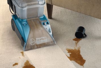 Carpet stain removal Auckland