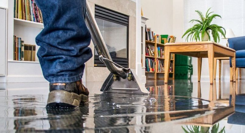 Flooded carpet cleaning Auckland