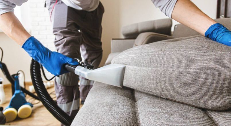 Upholstery steam cleaning Auckland