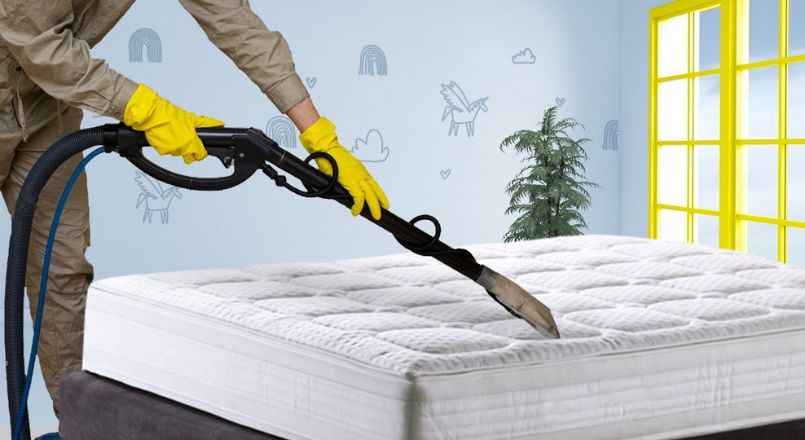 Mattress steam cleaning service