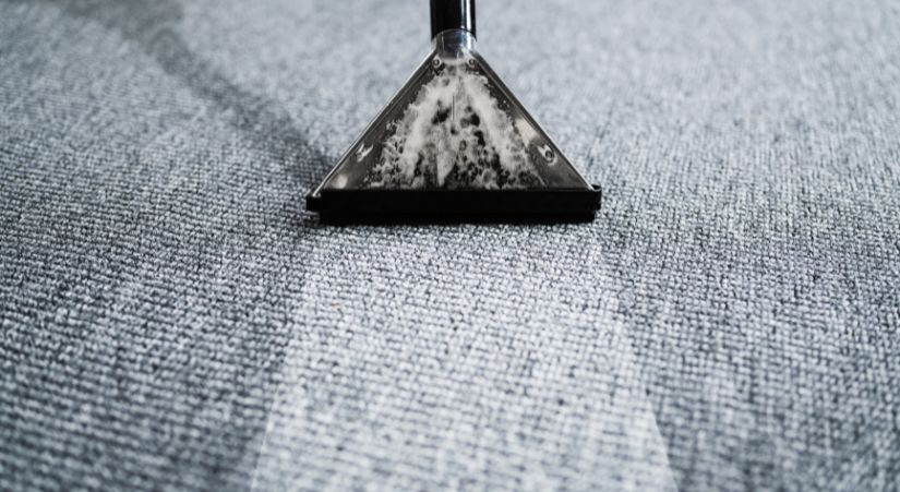 Rug cleaning Auckland