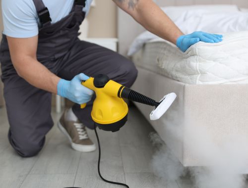 Carpet Cleaning East Auckland